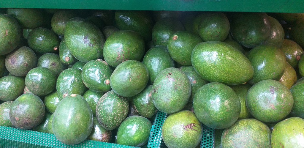 Aguacate choquette