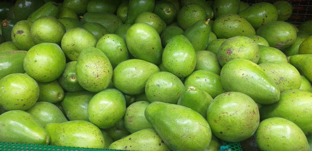 Aguacate papelillo