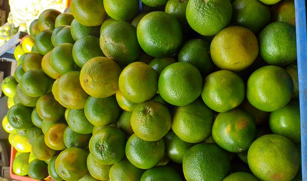 Naranja valencia de 1ra