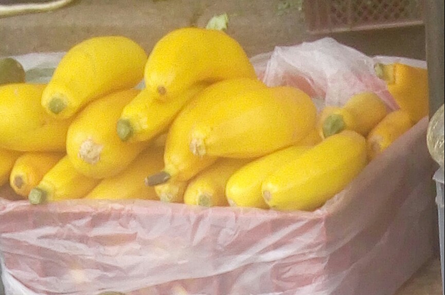 Zucchini