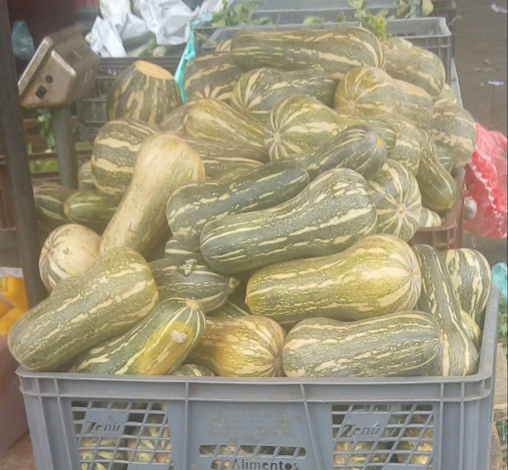 Ahuyama sapayo