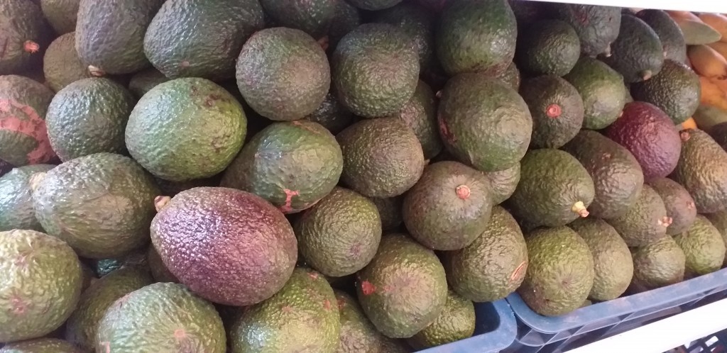 Aguacate hass