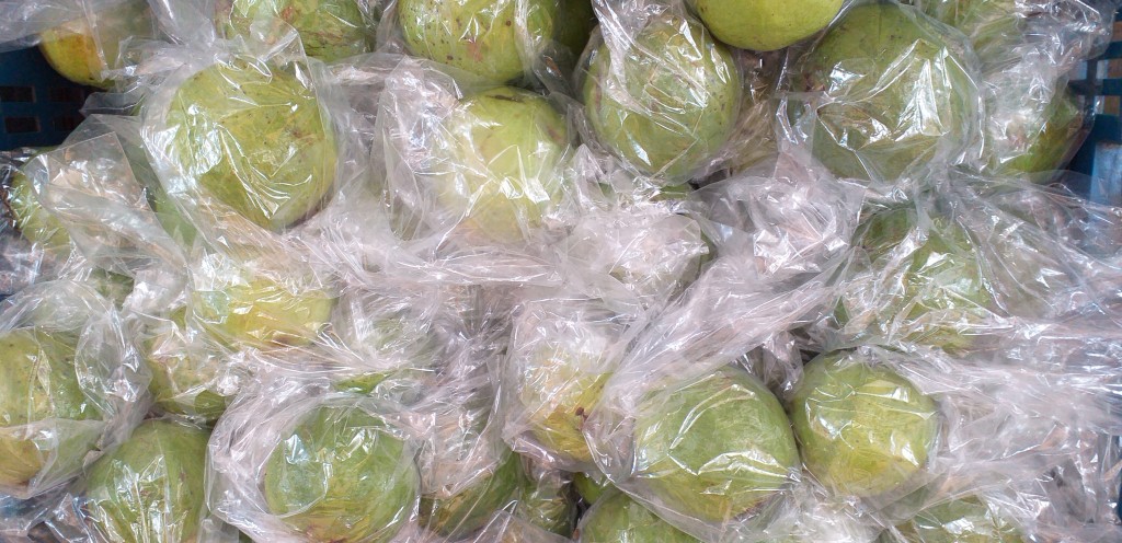 Guayaba manzana