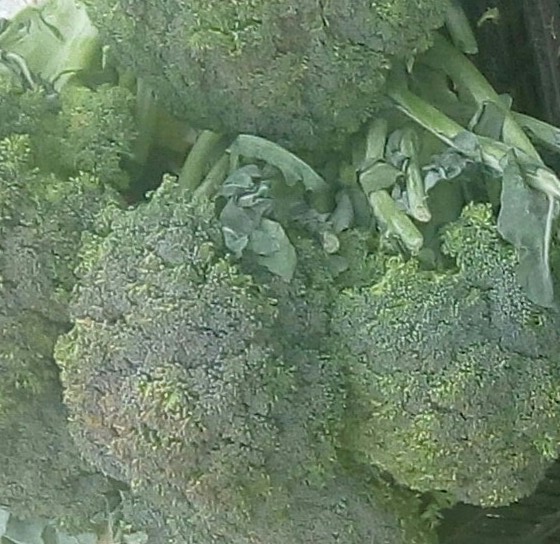 Brócoli