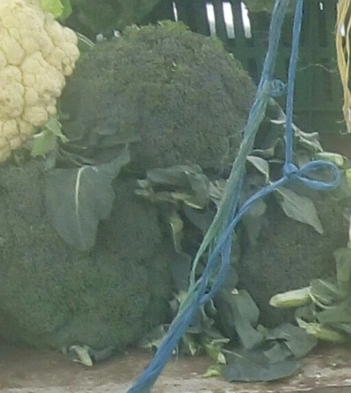 Brócoli de primera