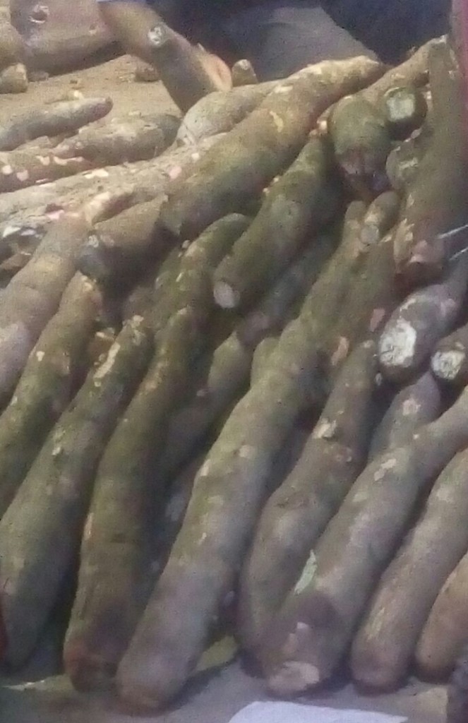Yuca