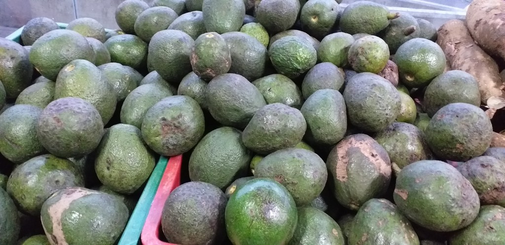 Aguacate fuerte verde