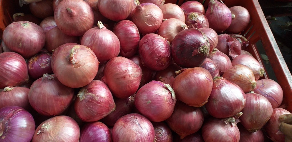 Cebolla peruana
