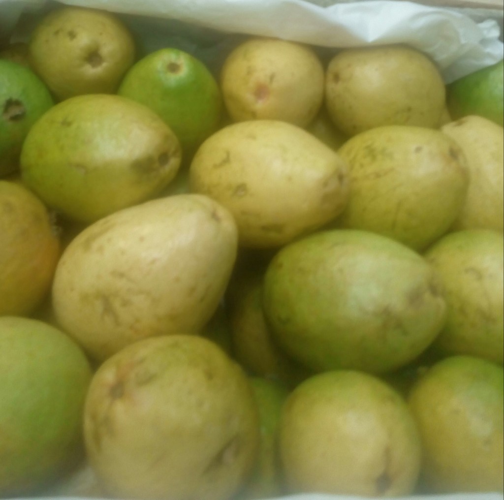 Guayaba pera