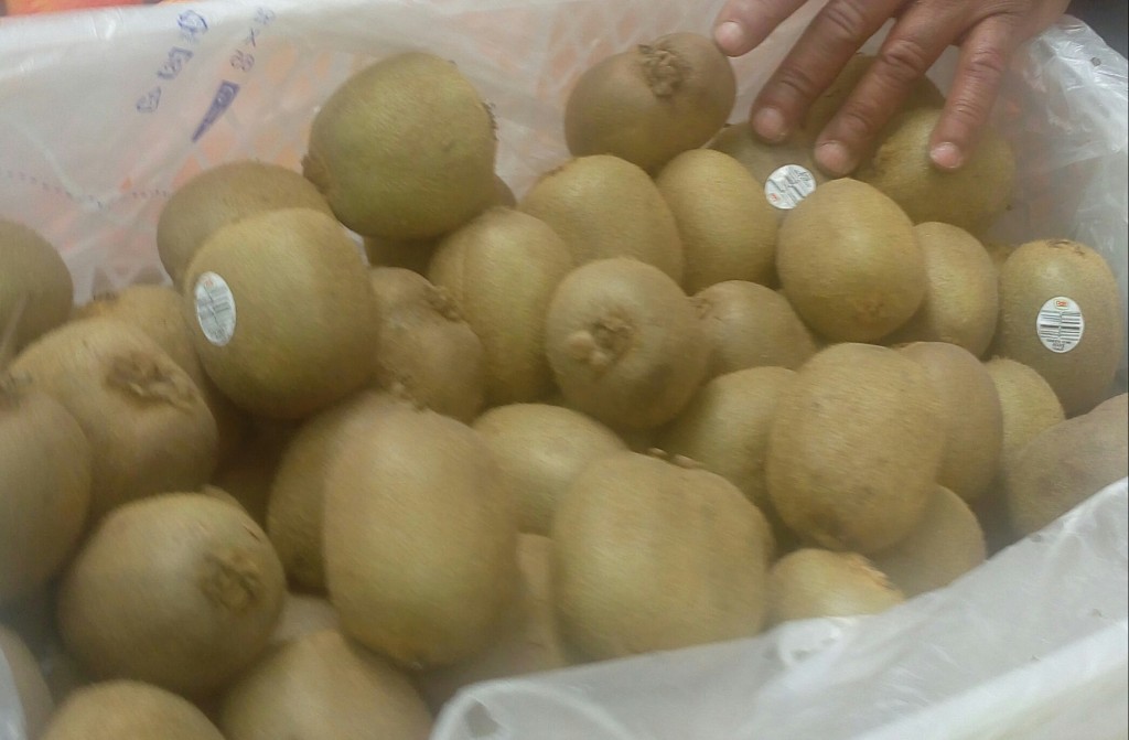 Kiwi