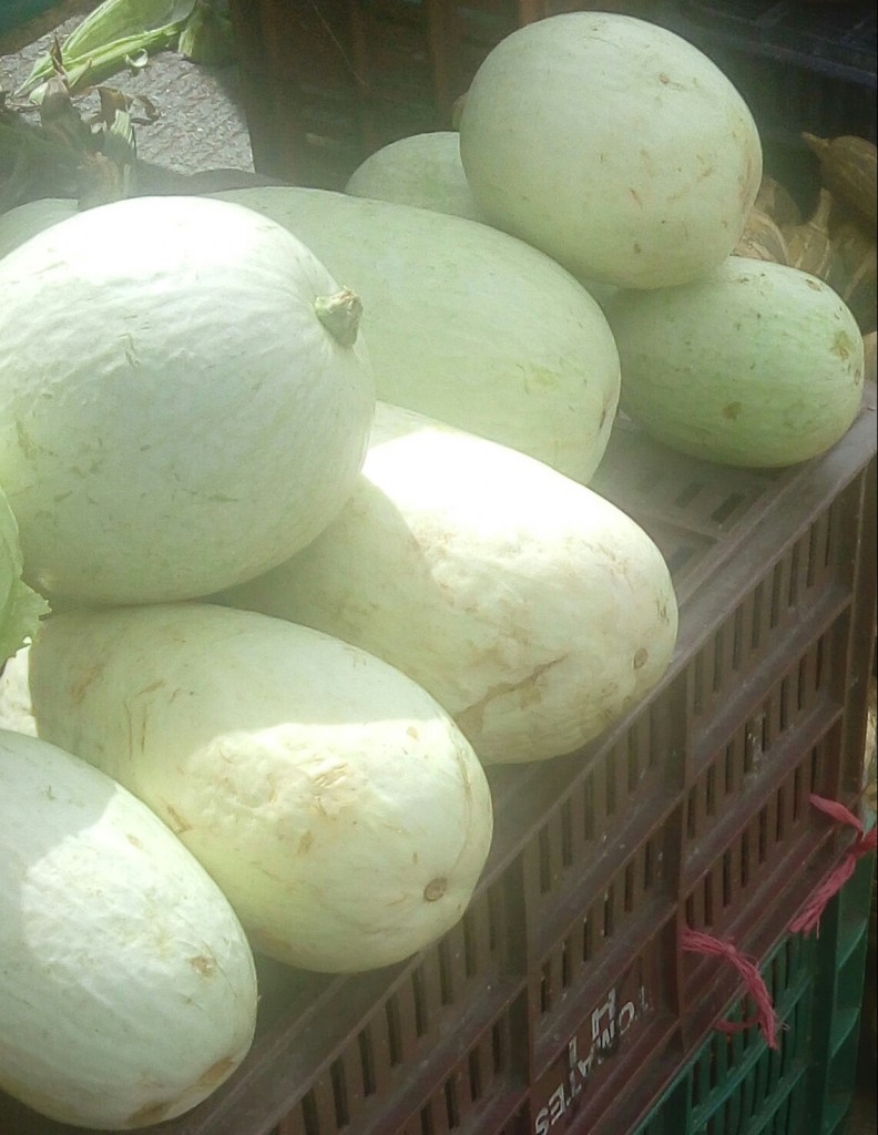 Calabaza blanca