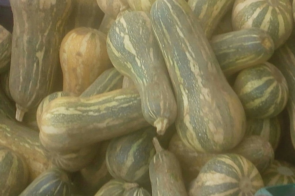 Ahuyama sapayo