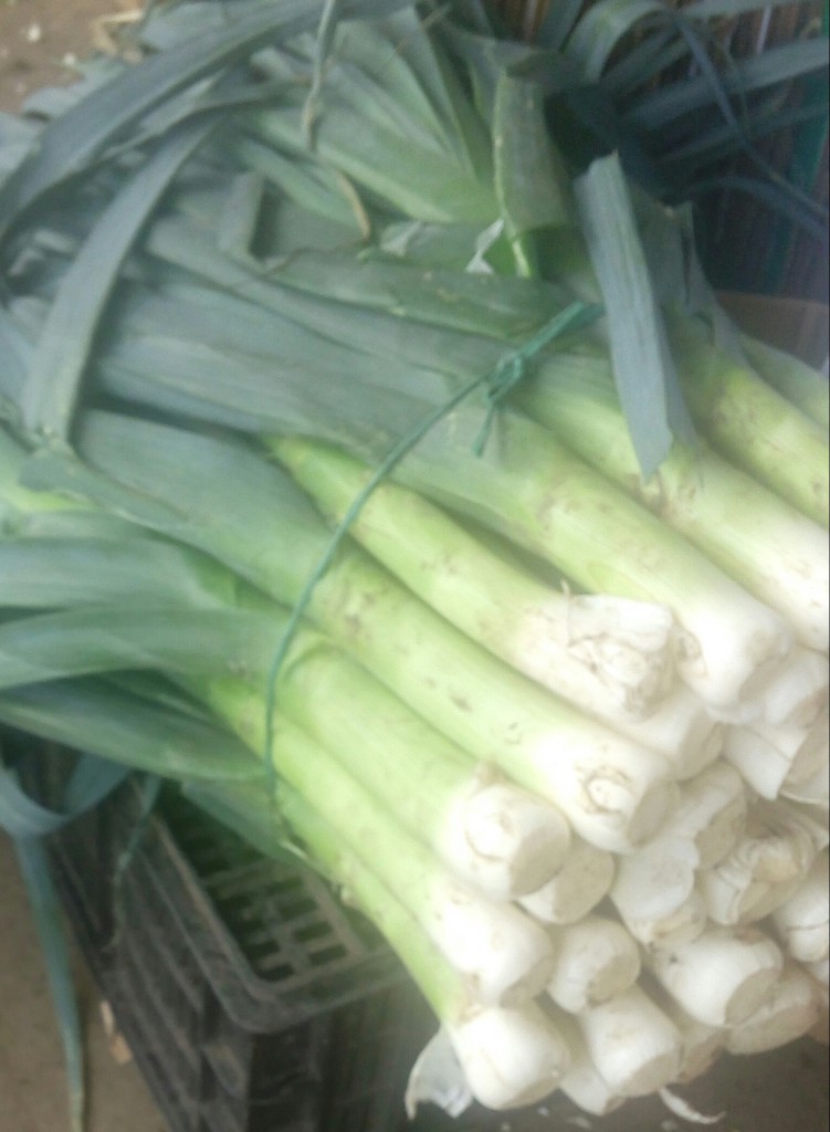 Cebolla puerro