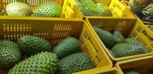 Guanabana