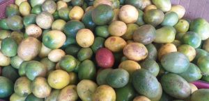 Maracuya extra