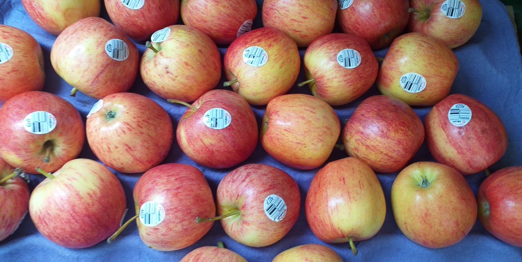 Manzana gala delgada