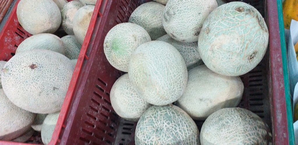 Melon