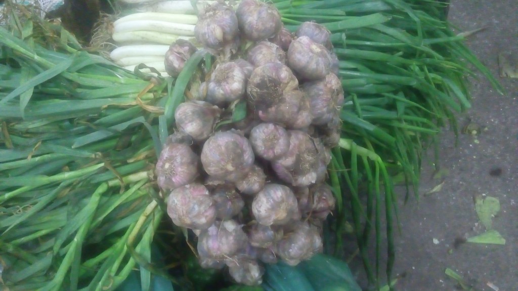Ajo en rama