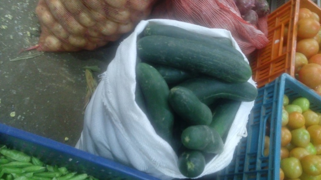 Pepino cohombro