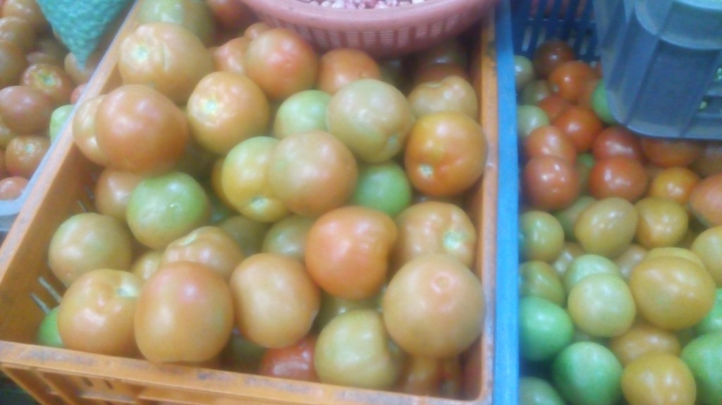 Tomate chonto de tercera