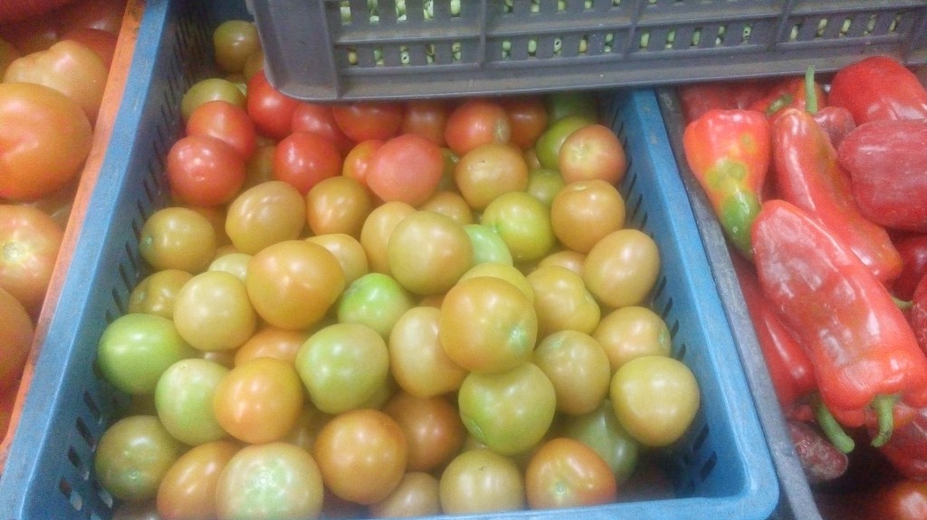 Tomate chonto parejo