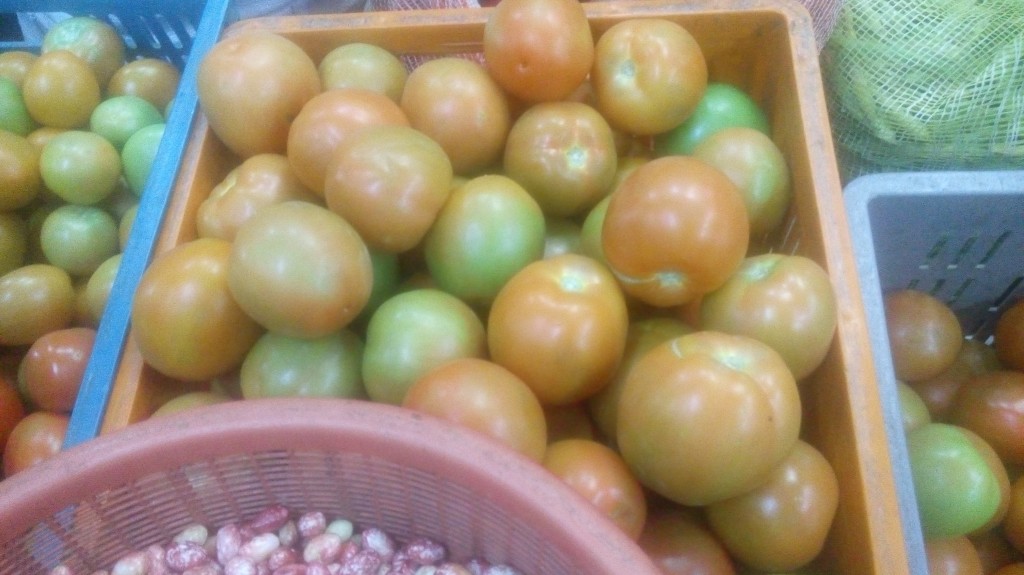 Tómate chonto de primera
