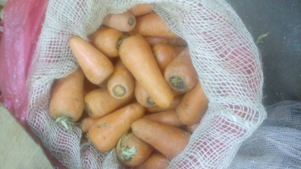 Zanahoria fina