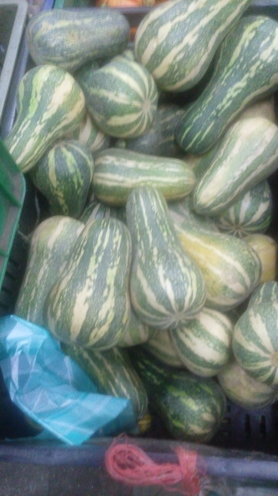 Ahuyama sapayo