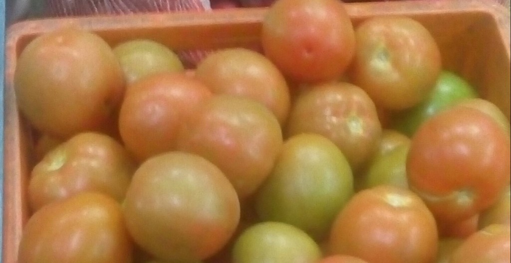 Tomate chonto de primera