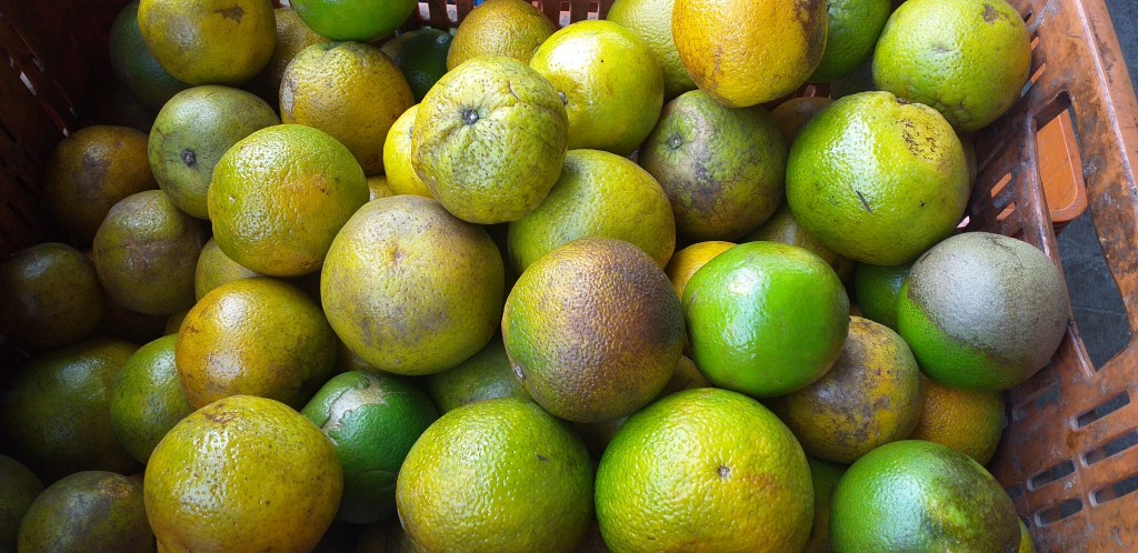 Naranja valencia manchada