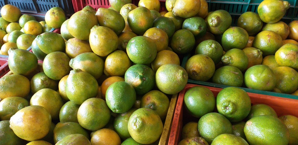 Naranja valencia de 1ra