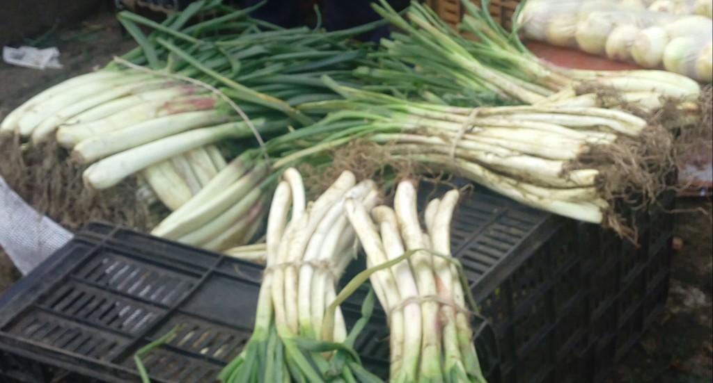 Cebolla larga