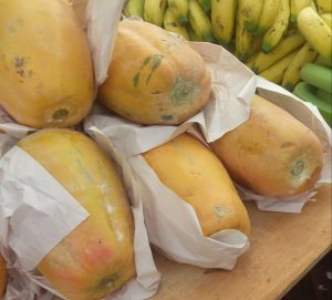 Papaya