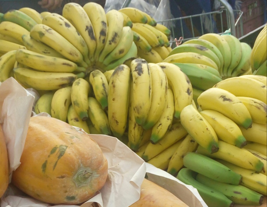 Banano criollo