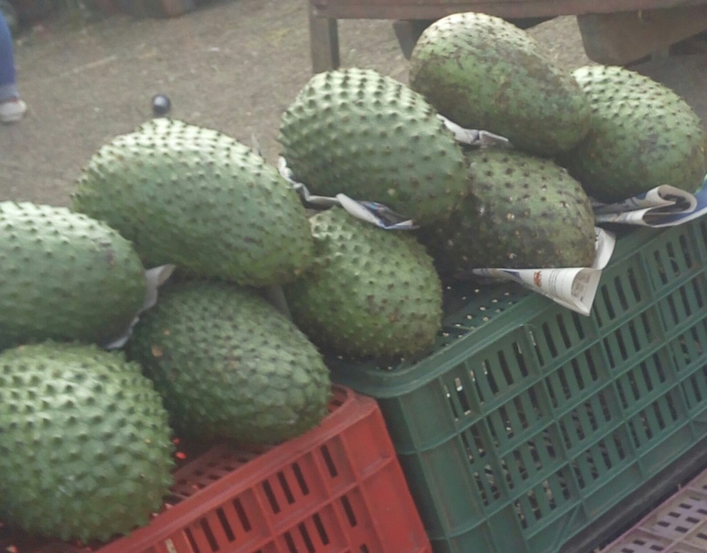 Guanabana