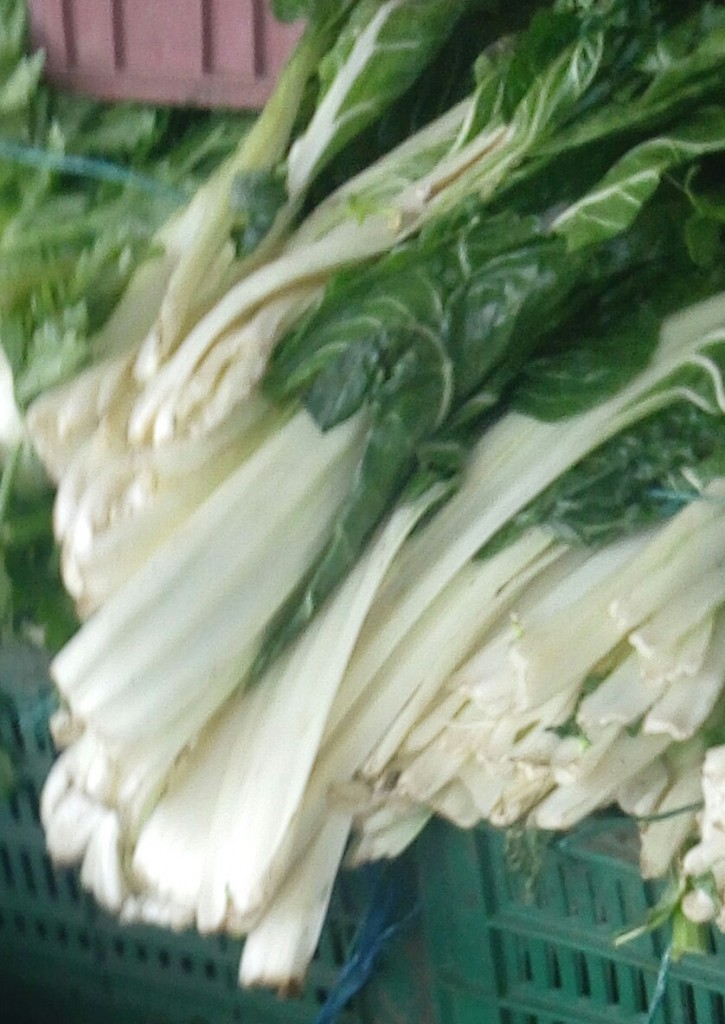 Acelgas