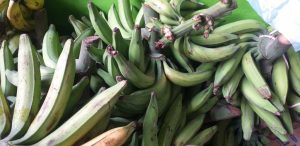 Platano verde