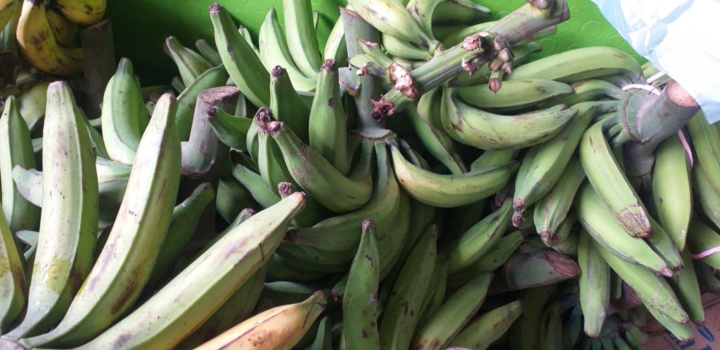 Platano verde