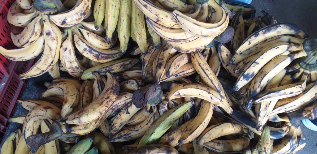Platano maduro