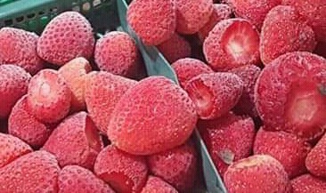 Fresas