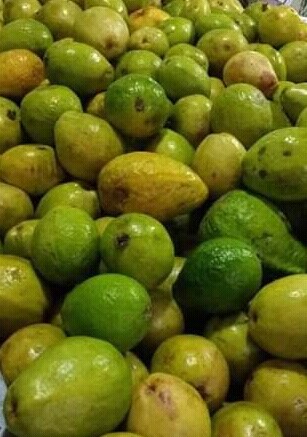 Guayaba