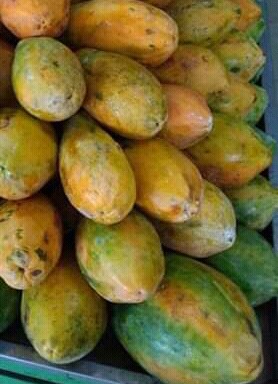 Papaya