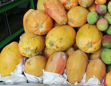 Papaya
