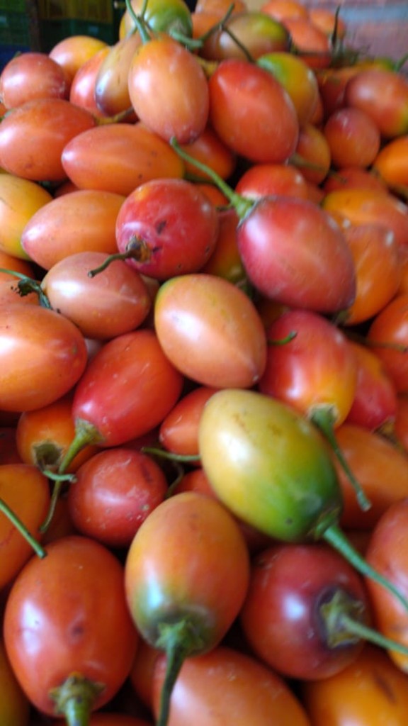 Tomate de.arbol extra