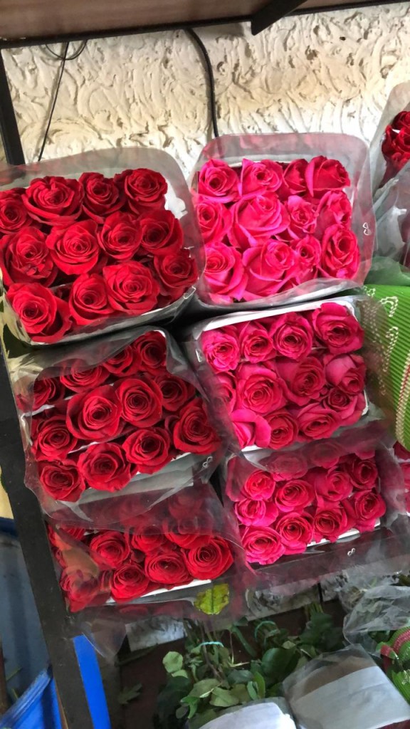 Paquete de Rosas /24unidades