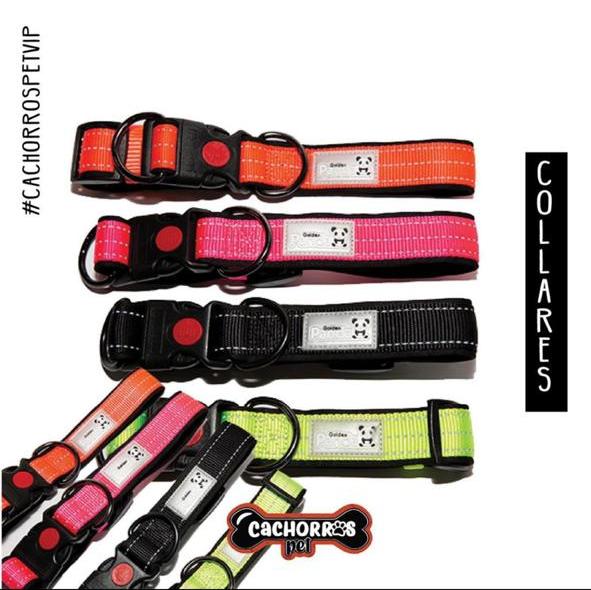 Collares para perros gargantilla
