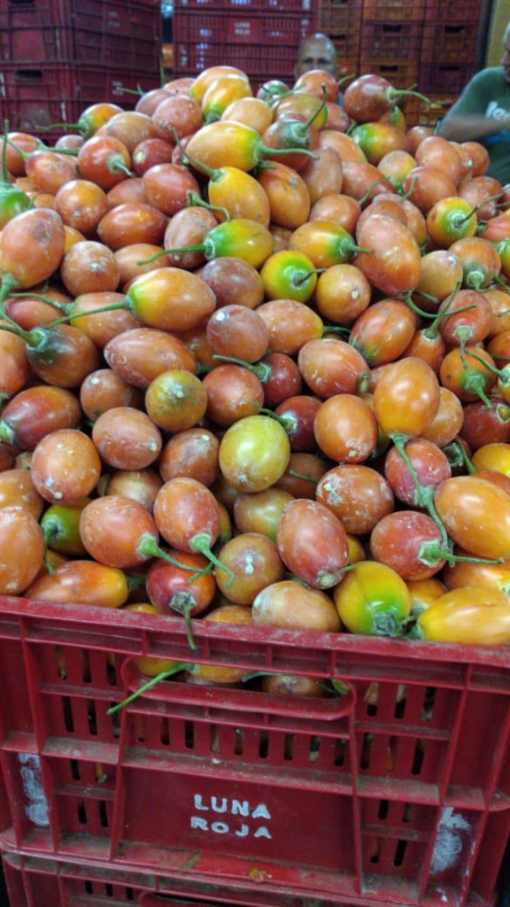 Tomate de árbol de primera