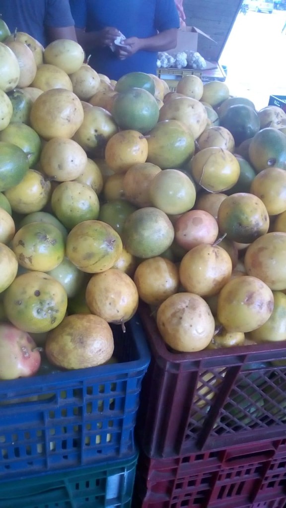Maracuya corriente