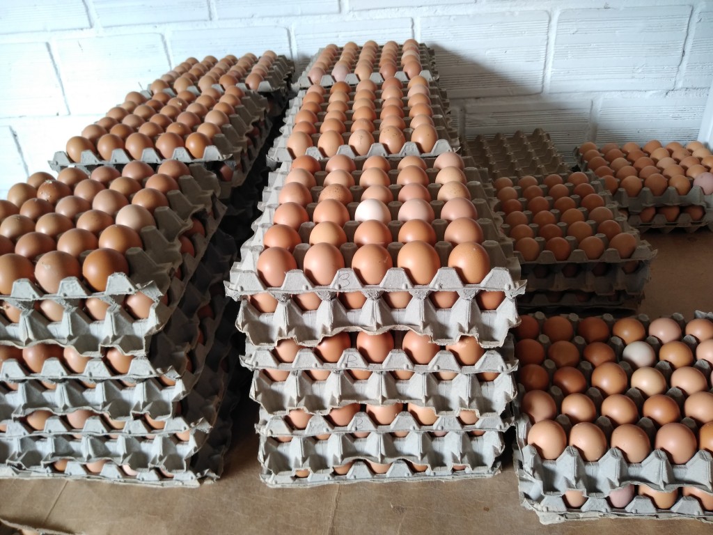 Huevos tipo a