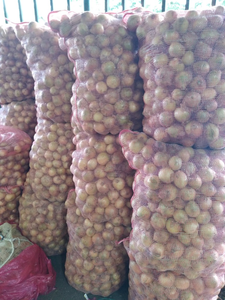 Cebolla huevo pareja